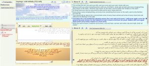 Screenshot of the formatting application for Farsi